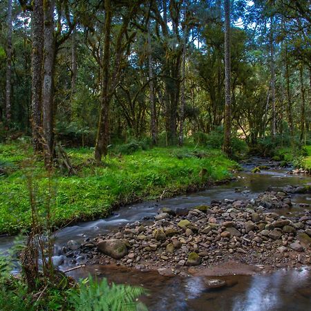 Refugio Tres Catarinas Villa Urubici Eksteriør bilde