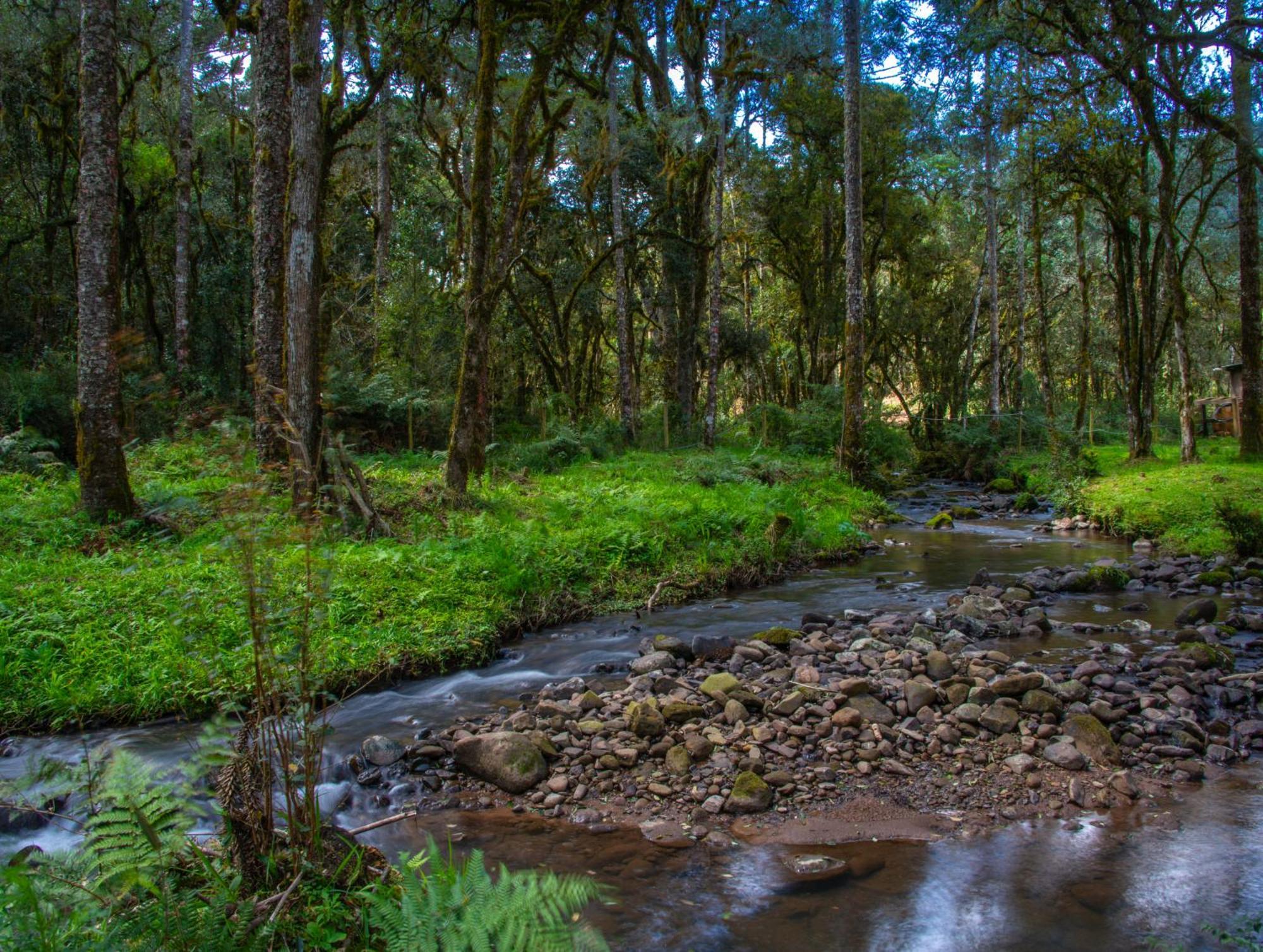 Refugio Tres Catarinas Villa Urubici Eksteriør bilde